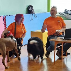 spotkanie klas 3 z wolontariuszami i psami ze schroniska (7).jpg