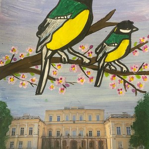 ptaki nad muzeum czartoryskich.jpg