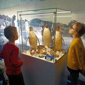 muzeum badań polarnych klasa 2b (17).jpg