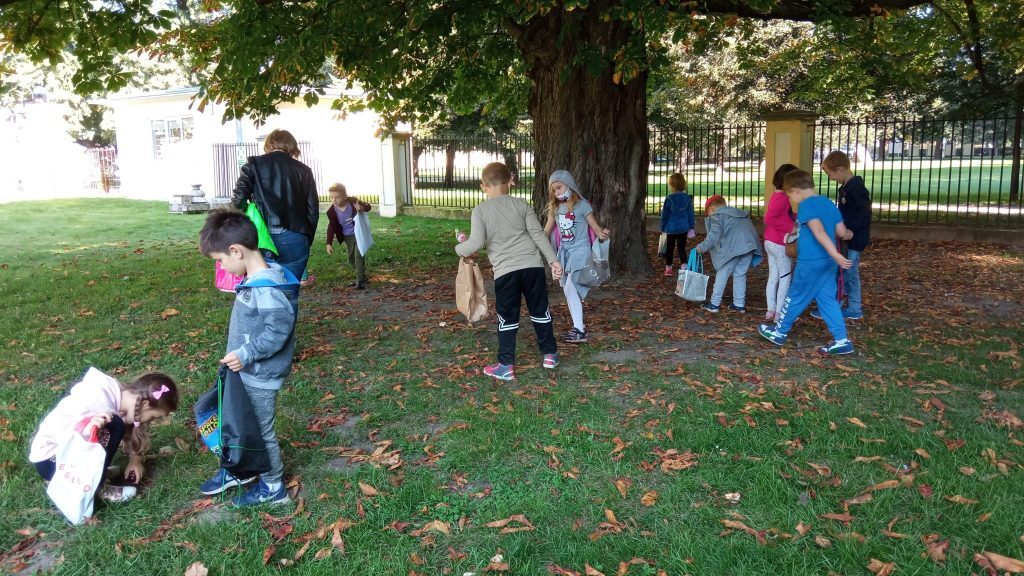 dzieci zbierają kasztany pod drzewem.jpeg