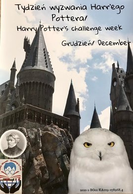 plakat Harry Potter1.jpg